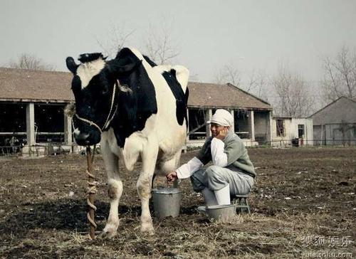 挤牛奶的电影叫什么(1)