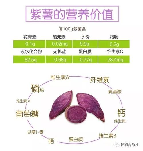 紫薯糖分多少(1)
