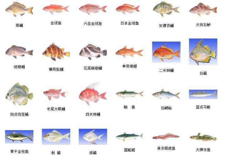 海鱼的种类有哪些