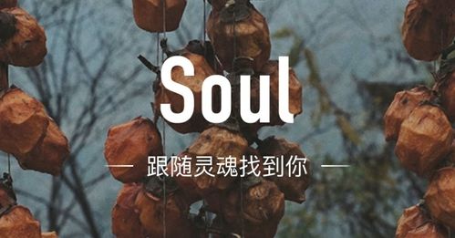 SoulMate是什么意思(1)