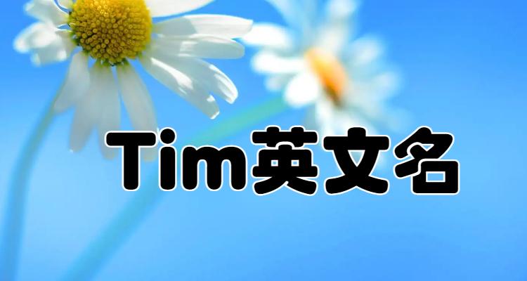 TIM啥意思(1)