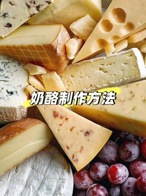 奶酪是怎么做出来