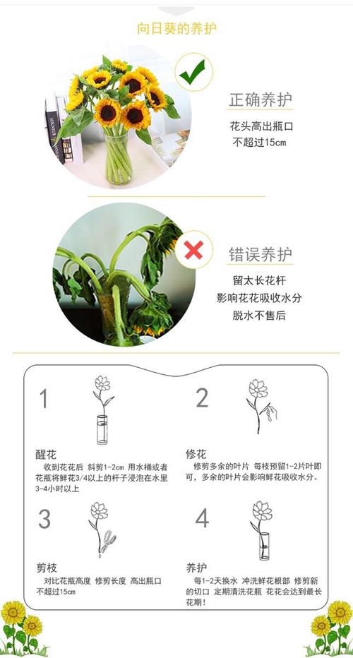 白掌花的养殖方法(1)