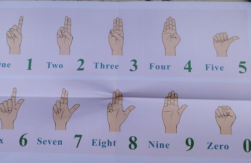 手指数数法的手势
