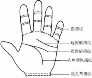 干纹手和细纹手区别(1)