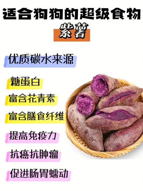 紫薯含糖吗(1)