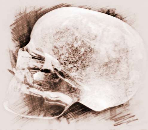神秘的印第安水晶头骨（传说如果把头骨集齐就能够将所有的世界连通）(1)