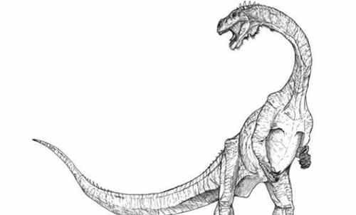 云南龙基本资料（是最晚存活的原蜥脚下目恐龙之一）(3)