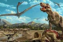 恐龙时代的兴衰（由于大陆分裂使恐龙走上独立演变）