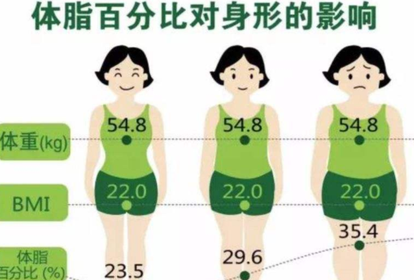 体脂率和脂肪率计算公式（体脂率等于脂肪率吗）(2)