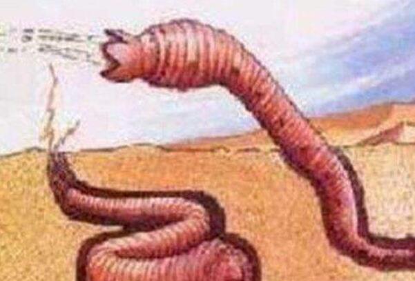 沙漠十大恐怖生物（响尾蛇的毒性很强经常发出可怕的响声）(1)