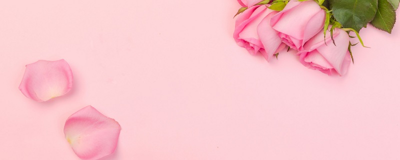 粉玫瑰的花语/粉玫瑰的花语是