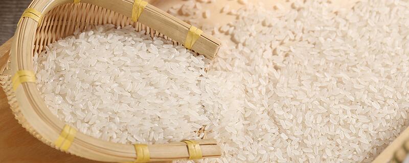 大米的热量/大米有哪些营养物质