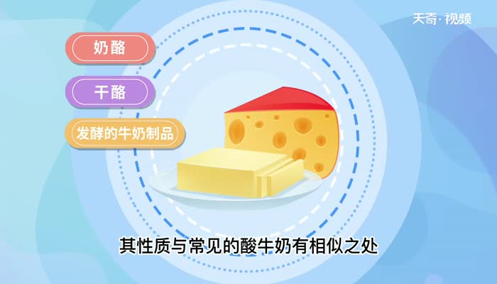 奶酪片和芝士片的区别/奶酪片和芝士片有哪些区别(1)