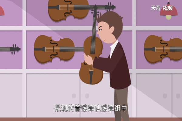 小提琴有几根弦//小提琴四根弦吗(2)