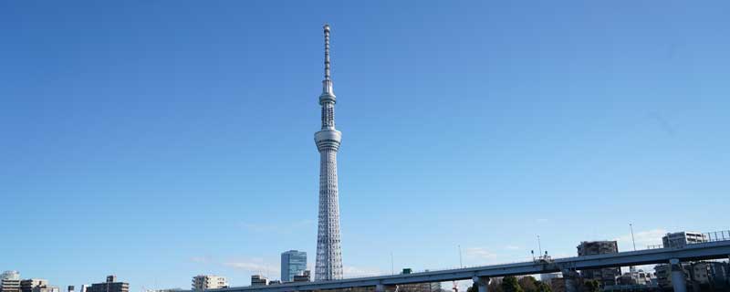 晴空塔和东京塔哪个高(1)
