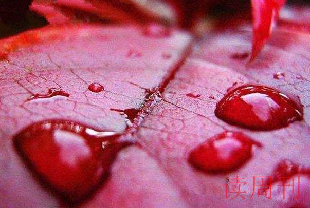 血雨自然现象（卷起了红色的尘土也会使雨水变成红色）(1)