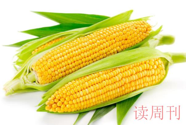 中国的四大农作物是什么（我国粮食作物有哪四种）