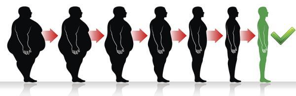 什么叫生酮饮食减肥（世界防治肥胖日 生酮饮食是啥）