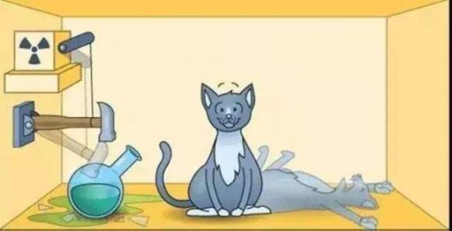 薛定谔的猫通俗解释是什么（薛定谔的猫到底是想说明什么）(1)