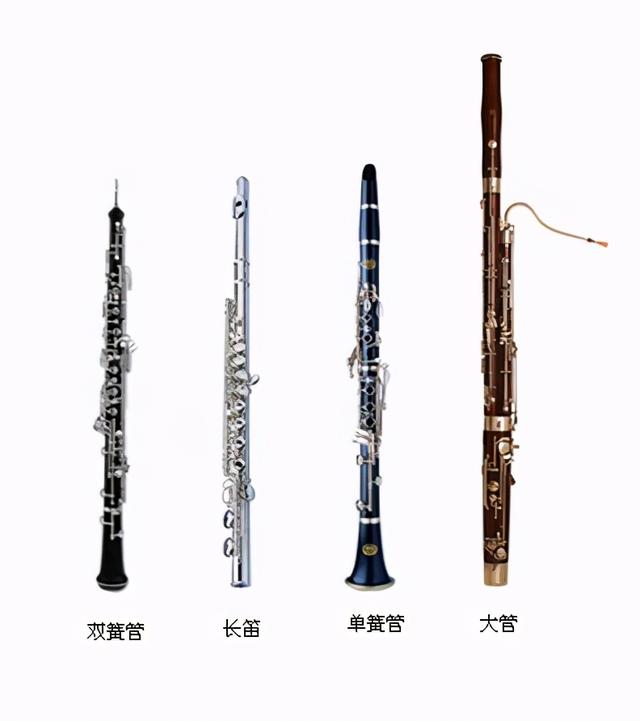木管乐器有哪些(常见的木管乐器有哪些)(1)