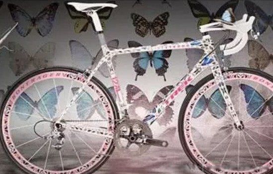最贵的蝴蝶自行车（自行车主要以碳纤维为材质全身都是闪亮的透明涂层）(2)