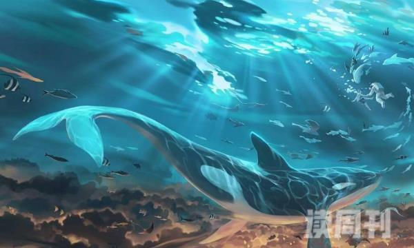 鲸落是鲸鱼自然死亡吗（鲸落怎么形成的）(1)