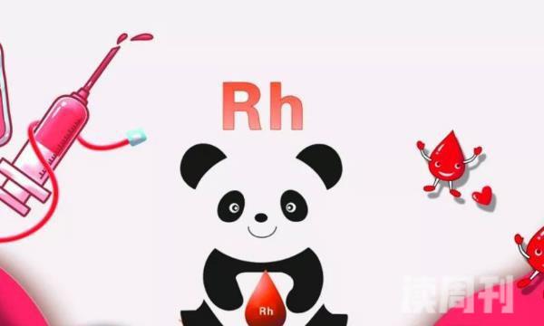 o型血什么情况下是熊猫血（RH阴性血在人群中的占比不足1%）(1)