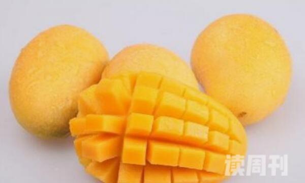 芒果的功效和作用什么人不能吃（对身体有什么好处和坏处）(2)