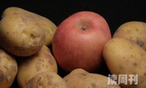 土豆旁边放苹果能防止生芽吗（不发芽的原因）(1)