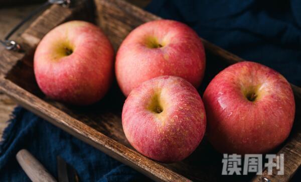 土豆旁边放苹果能防止生芽吗（不发芽的原因）(4)