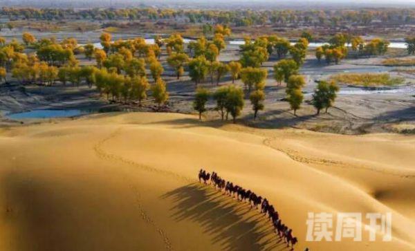 中国第一大沙漠的近况（塔克拉玛干沙漠中国最美的沙漠之一）