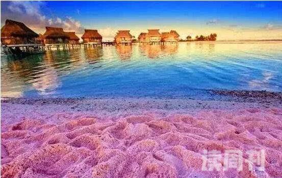 世界上最性感海滩粉色沙滩美的一塌糊涂少女心炸裂(2)