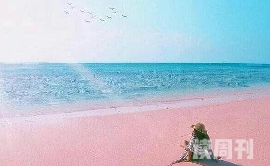 盘点世界十大奇特海滩艳遇圣地粉色海滩美到令人窒息(1)