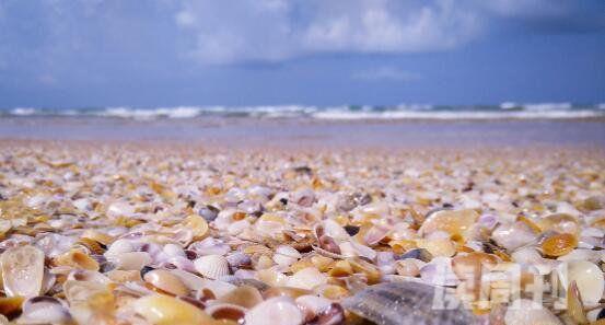 盘点世界十大奇特海滩艳遇圣地粉色海滩美到令人窒息(3)