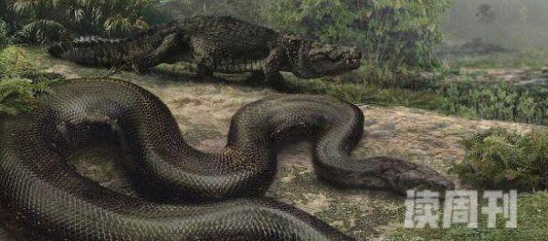 史前巨兽塞雷洪泰坦蟒人类已知最大的蛇长15米(1)
