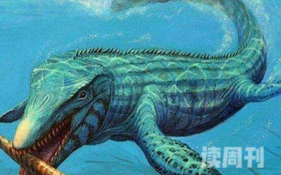 水中十大恐龙有哪些蛇颈龙是海洋中霸王(顶级掠食者)(2)