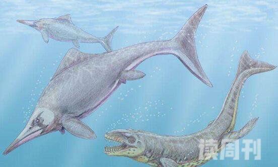 水中十大恐龙有哪些蛇颈龙是海洋中霸王(顶级掠食者)(5)
