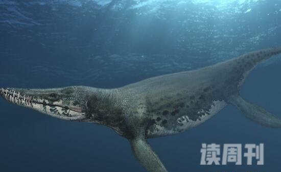 水中十大恐龙有哪些蛇颈龙是海洋中霸王(顶级掠食者)(6)