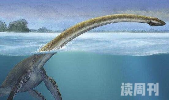 水中十大恐龙有哪些蛇颈龙是海洋中霸王(顶级掠食者)(7)
