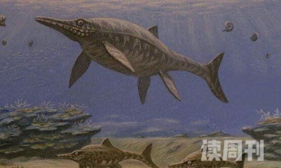 水中十大恐龙有哪些蛇颈龙是海洋中霸王(顶级掠食者)(8)