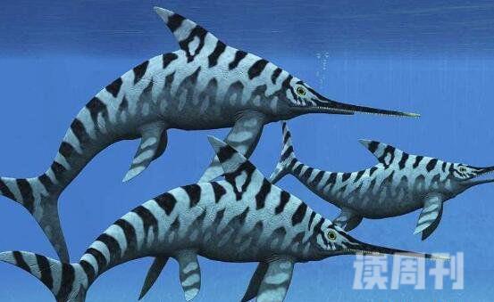 水中十大恐龙有哪些蛇颈龙是海洋中霸王(顶级掠食者)(9)
