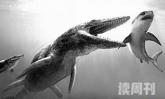 水中十大恐龙有哪些蛇颈龙是海洋中霸王(顶级掠食者)(10)