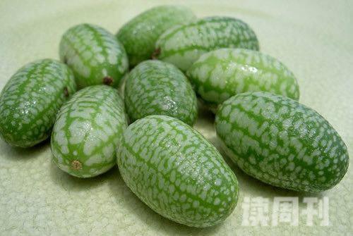 世界上最小的西瓜（只有花生米大小）(1)