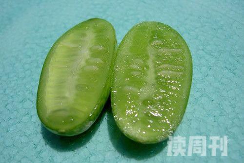 世界上最小的西瓜（只有花生米大小）(3)