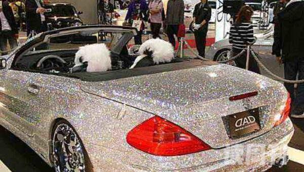 钻石跑车7298100亿元世界上最贵的车28.5亿元（假新闻）(3)