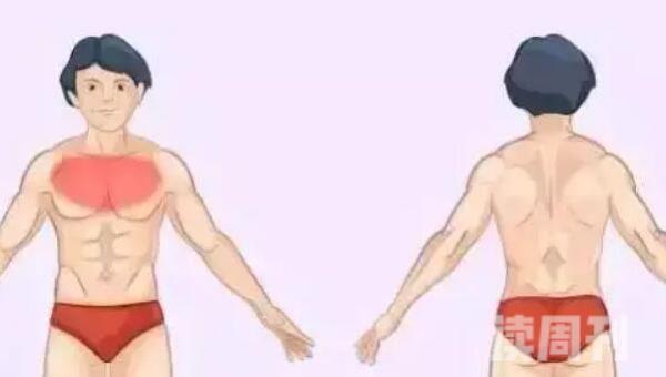 身体各个器官疼痛位置图片这些地方疼你就该警惕了(4)