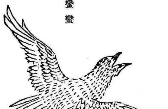 比翼鸟是什么鸟古代传说中一种鸟名(吉祥美好寄托)(2)