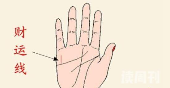 9种手纹的女人命好每一种手纹非富即贵/命理学(4)