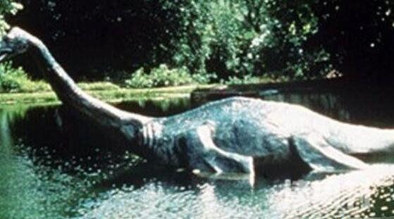 卡布罗龙已经灭绝了吗或许没有疑似一种未知大海龟(4)